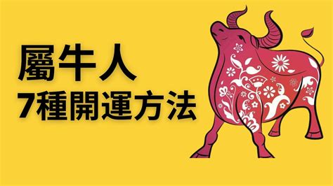 2023屬牛運勢|2023下半年12生肖運勢公開！財運、事業、健康、感。